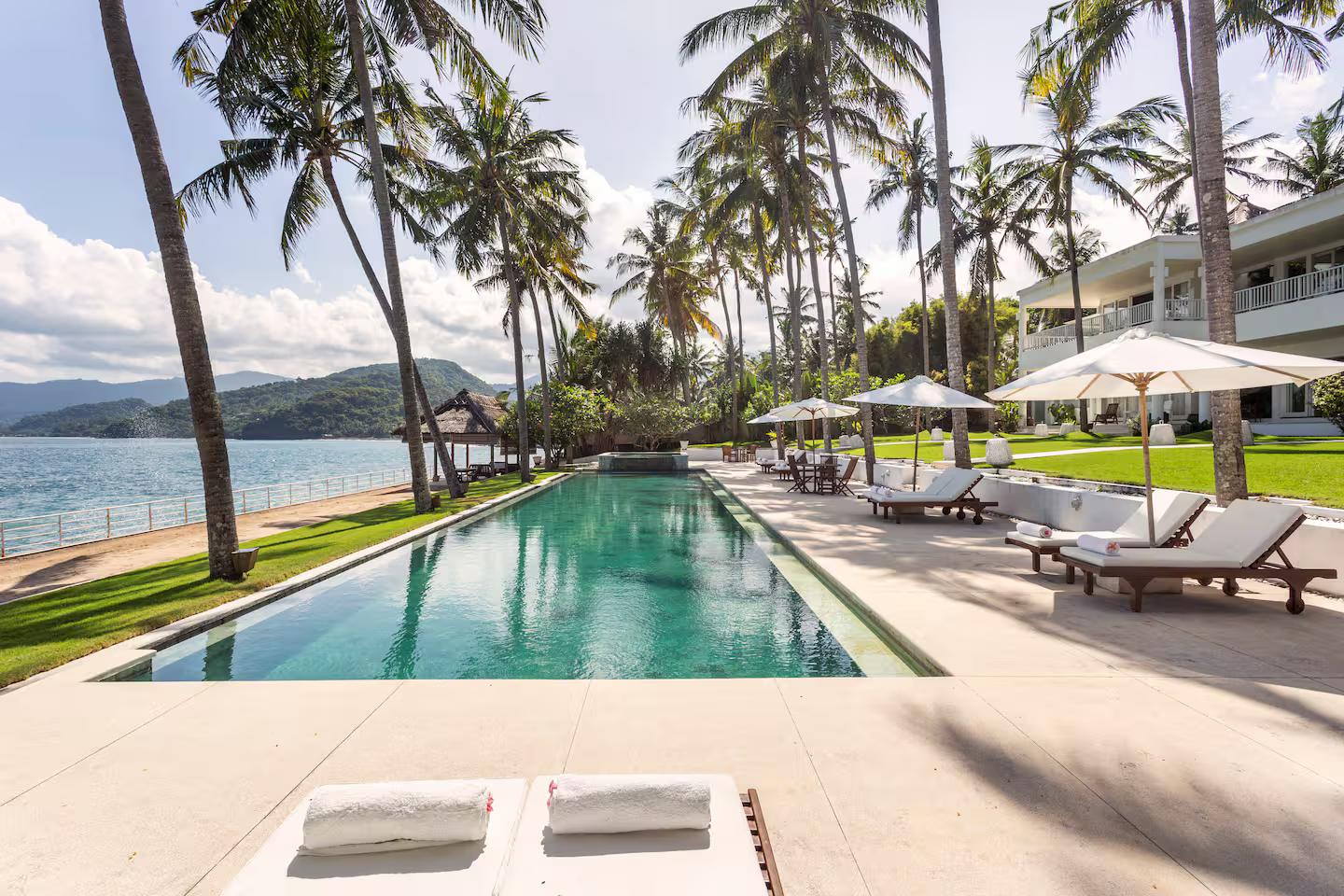 Long beachfront pool surrounded by palms and loungers