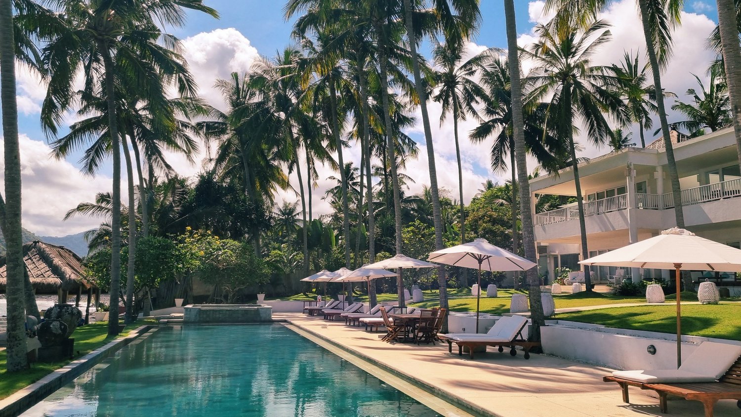 Swimming pool and loungers framed by palm trees